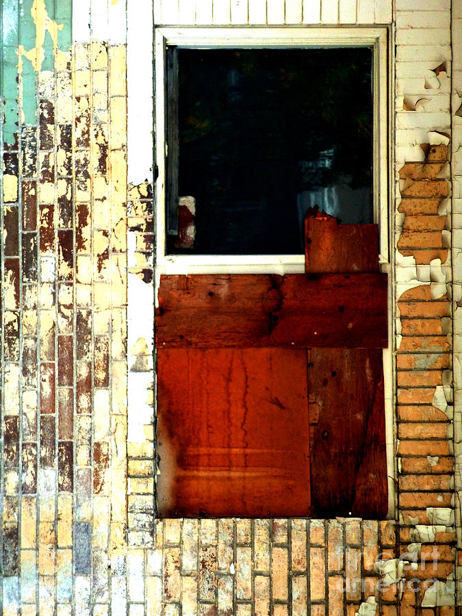 Backdoor Man Photograph By Newel Hunter Fine Art America
