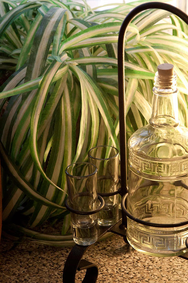 Backlit Bottle and Glasses Photograph by James Woody