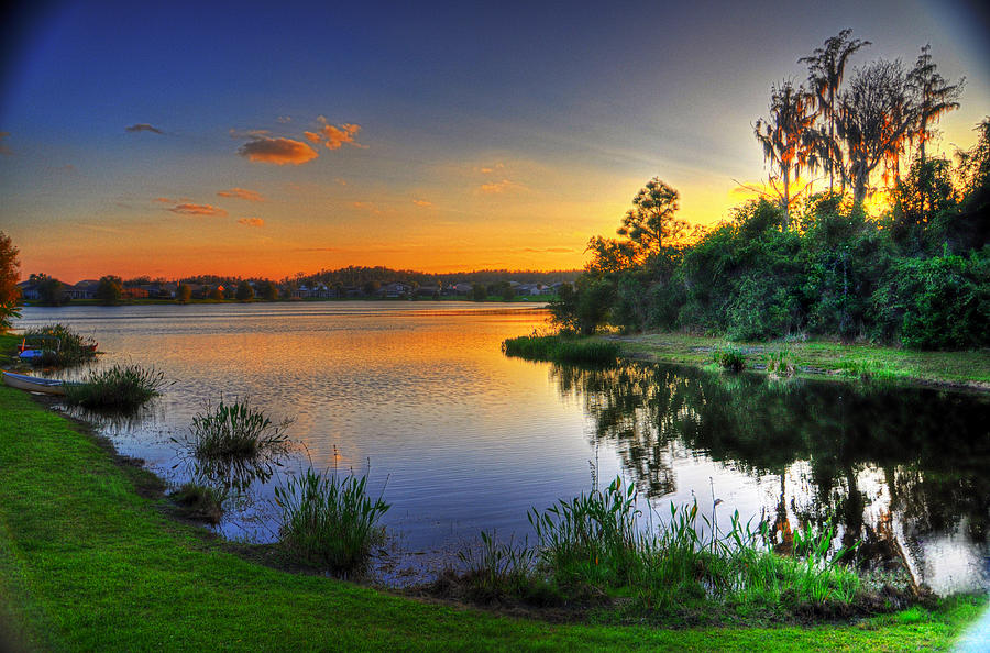 Backyard Beauty Photograph by Alex Owen - Fine Art America