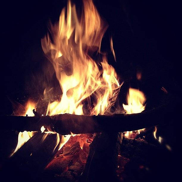 Backyard Bonfire Photograph by Michael Benatar