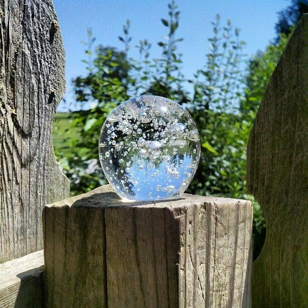 Magic Photograph - Backyard Magic #crystalball #magic by Melissa Lutes