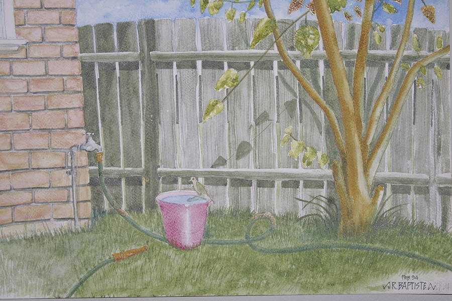 Backyard Drawing By Richard Baptiste