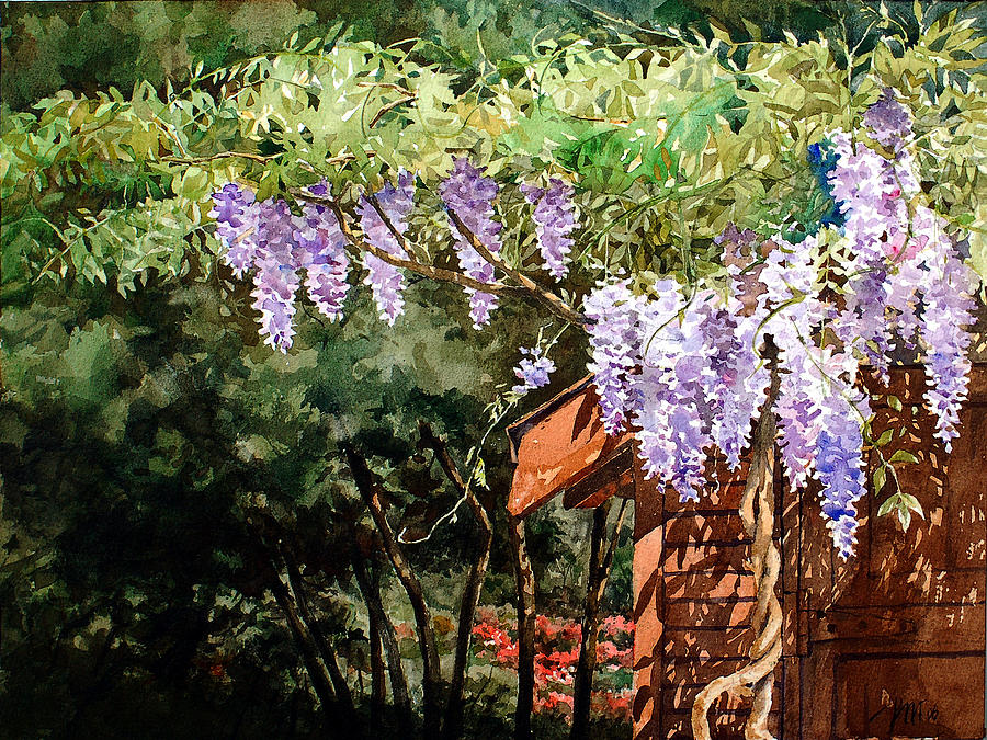 Backyard Wisteria Painting by Peter Sit - Fine Art America