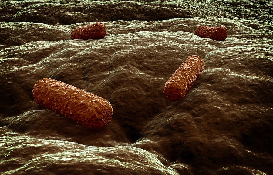 Bacterial Infection, Artwork Digital Art by Andrzej Wojcicki