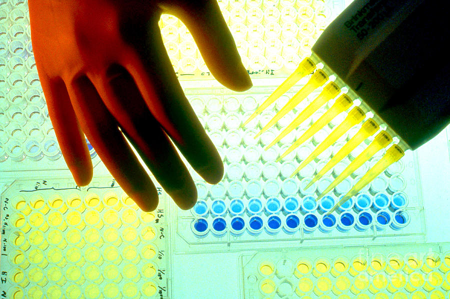 Bacterial Testing Photograph by Science Source