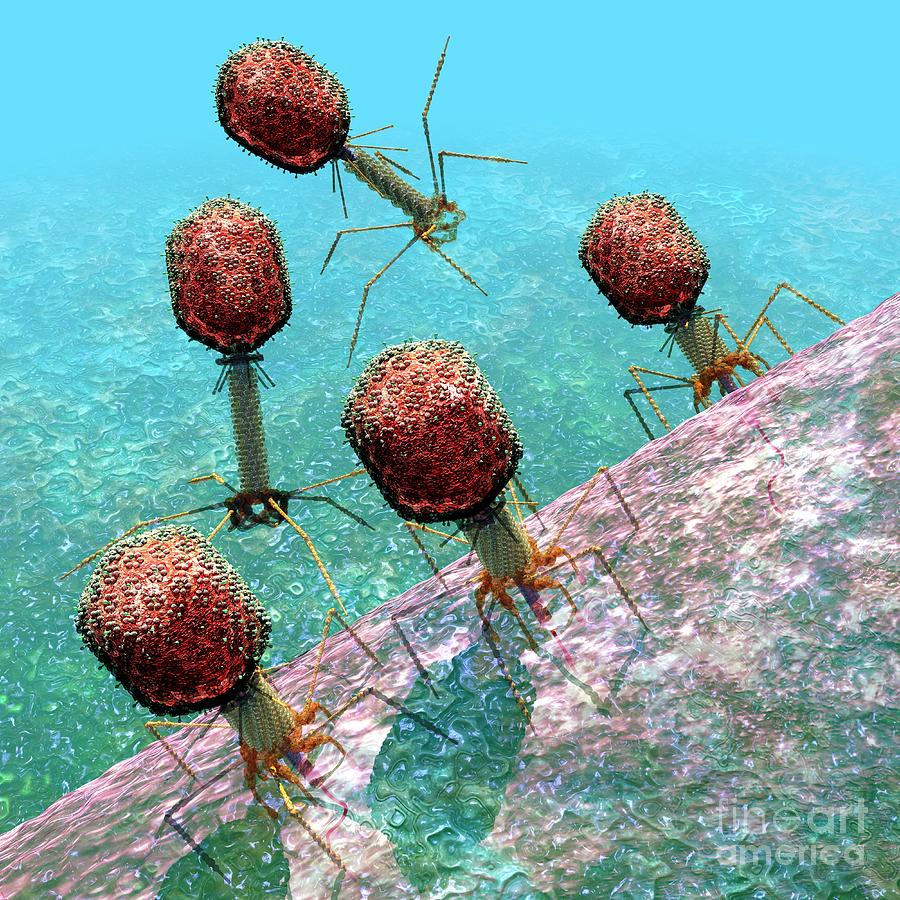Bacteriophage T4 virus group 1 Digital Art by Russell Kightley