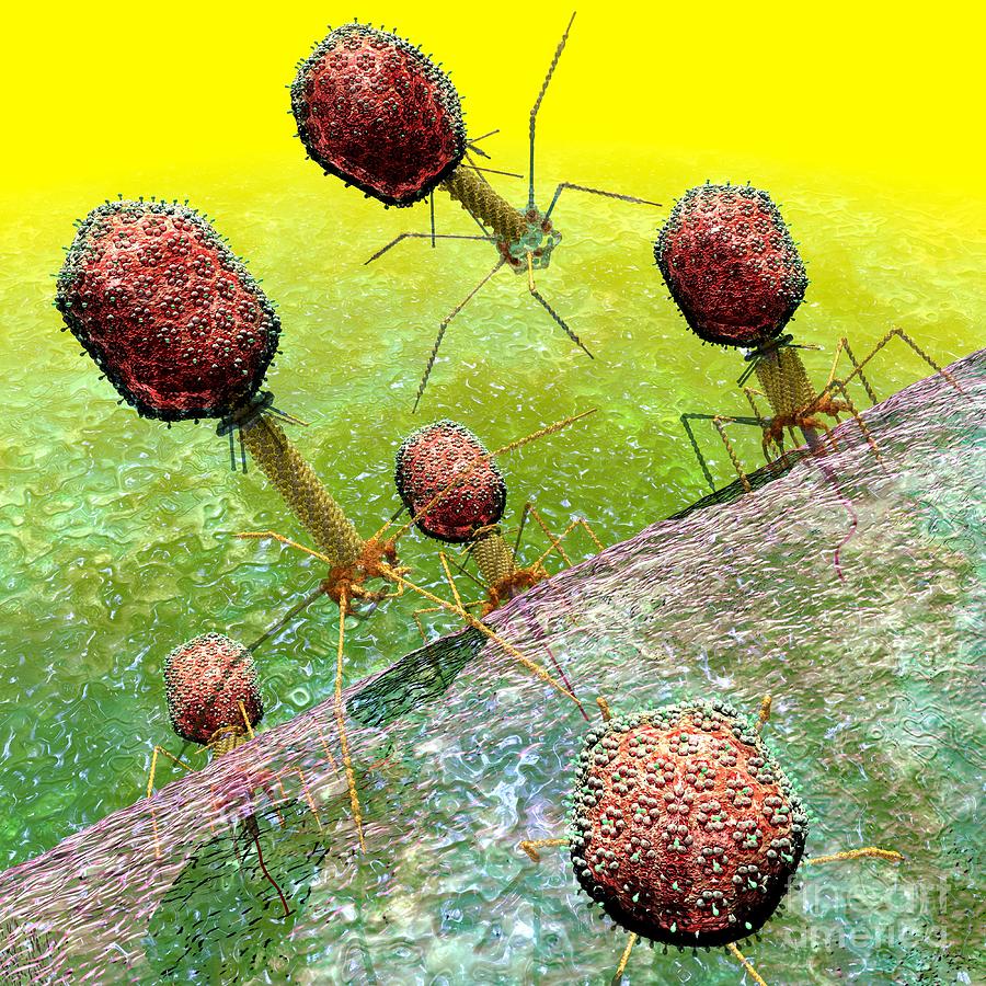 Bacteriophage T4 virus group 2 Digital Art by Russell Kightley
