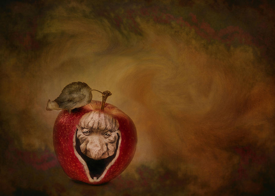 Bad Apple Photograph by Robin-Lee Vieira