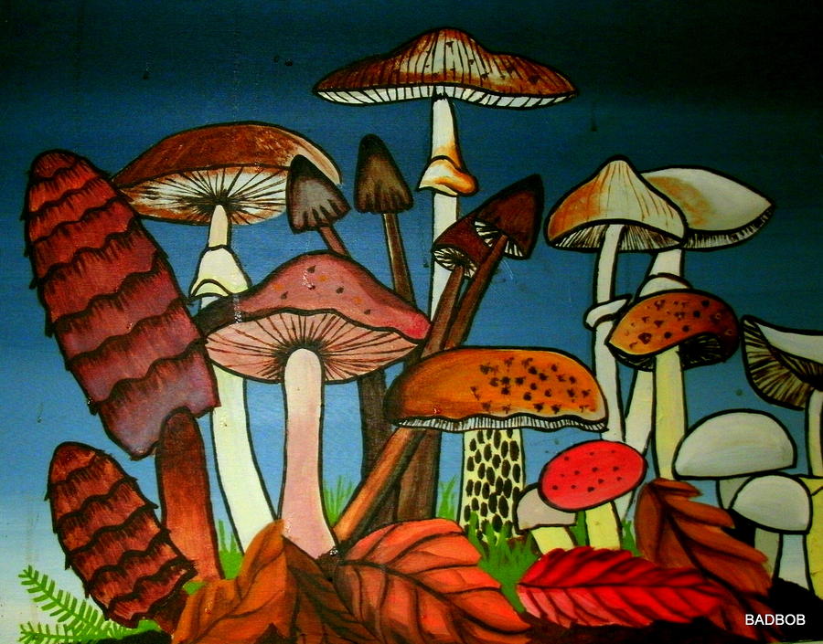 Badshrooms Painting by Robert Francis