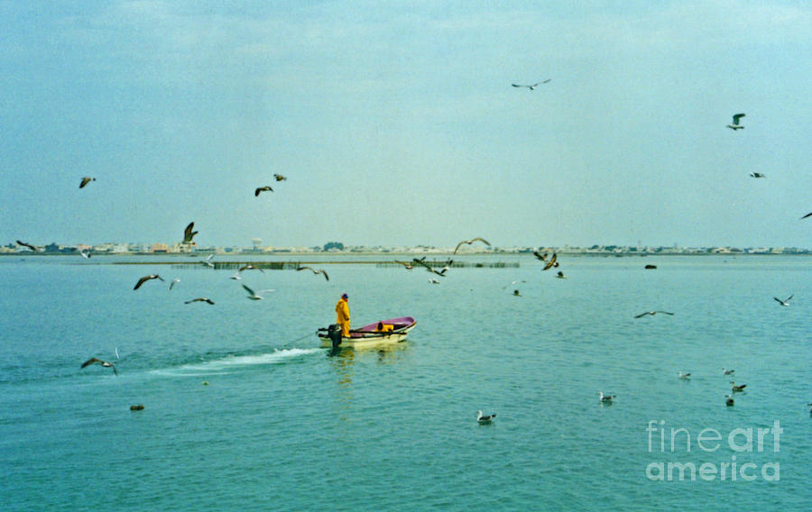 Bahrain Fisherman Photograph by First Star Art