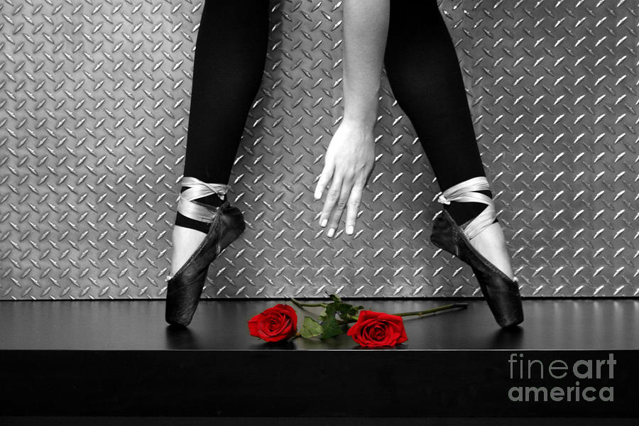Bailarina en Rosas Photograph by Francisco Pulido