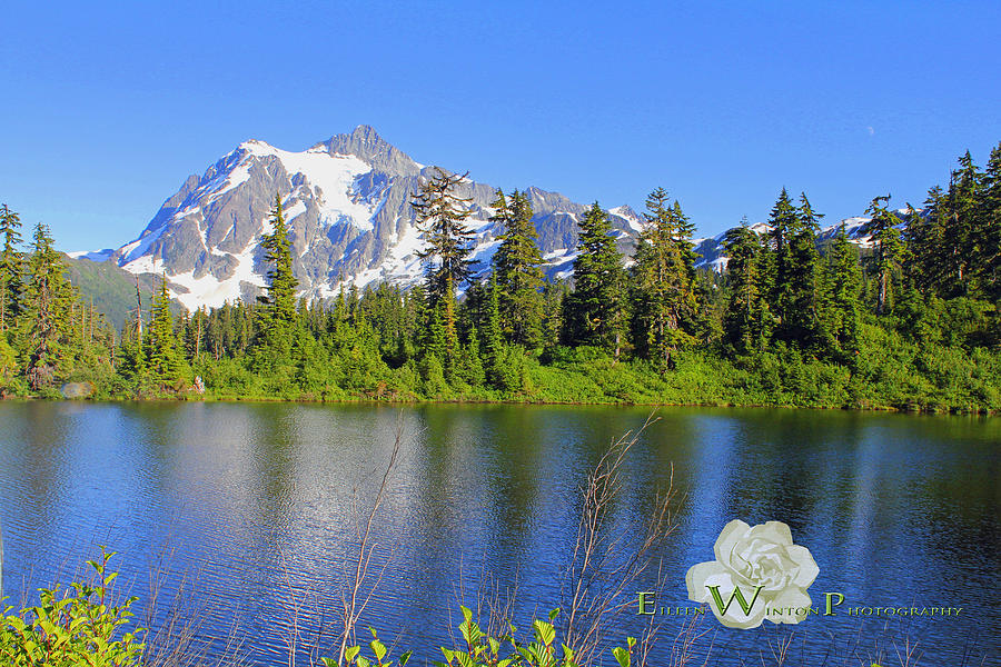 Baker Lakeside View Photograph by Eileen Winton Pixels