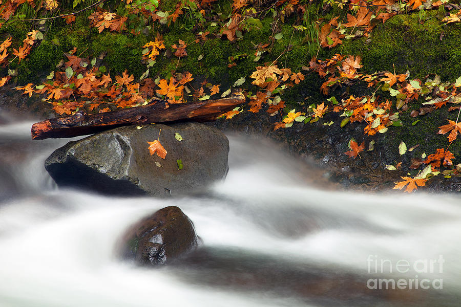 Fall Photograph - Balance of the Seasons by Michael Dawson