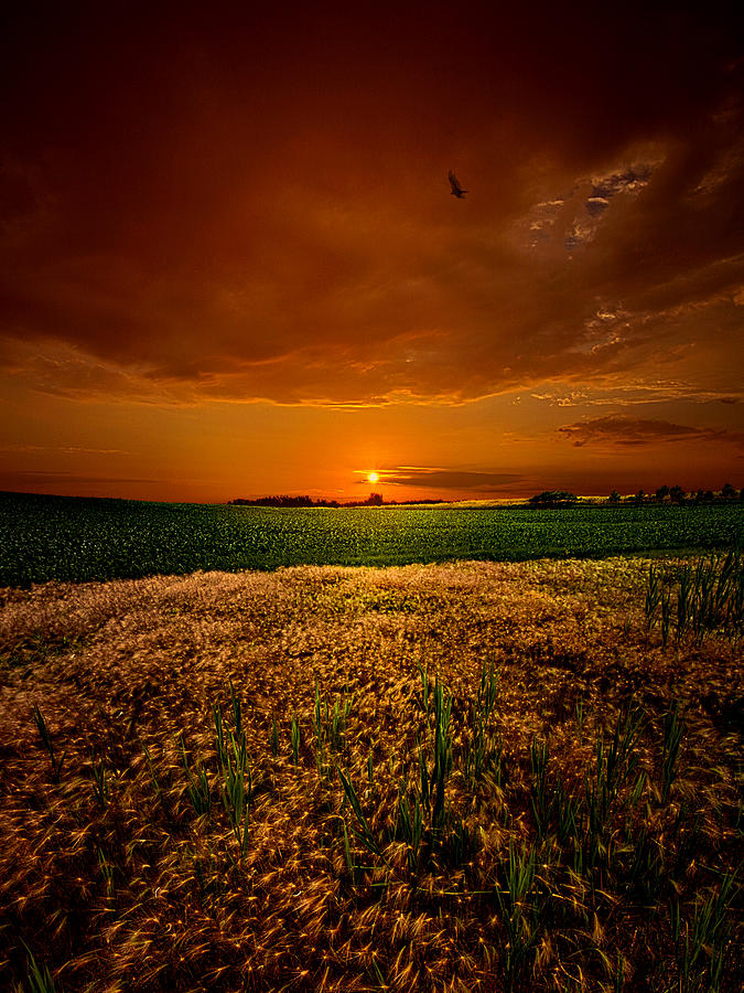 Sunset Photograph - Balance by Phil Koch