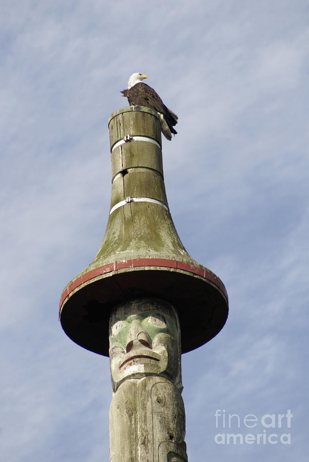 BALD EAGLE AND TOTEM POLE  Vancouver Canada Photograph by John  Mitchell