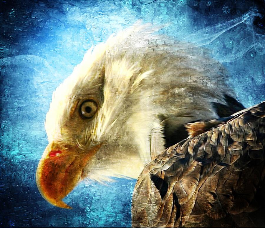 Bald Eagle Digital Art by Carrie OBrien Sibley
