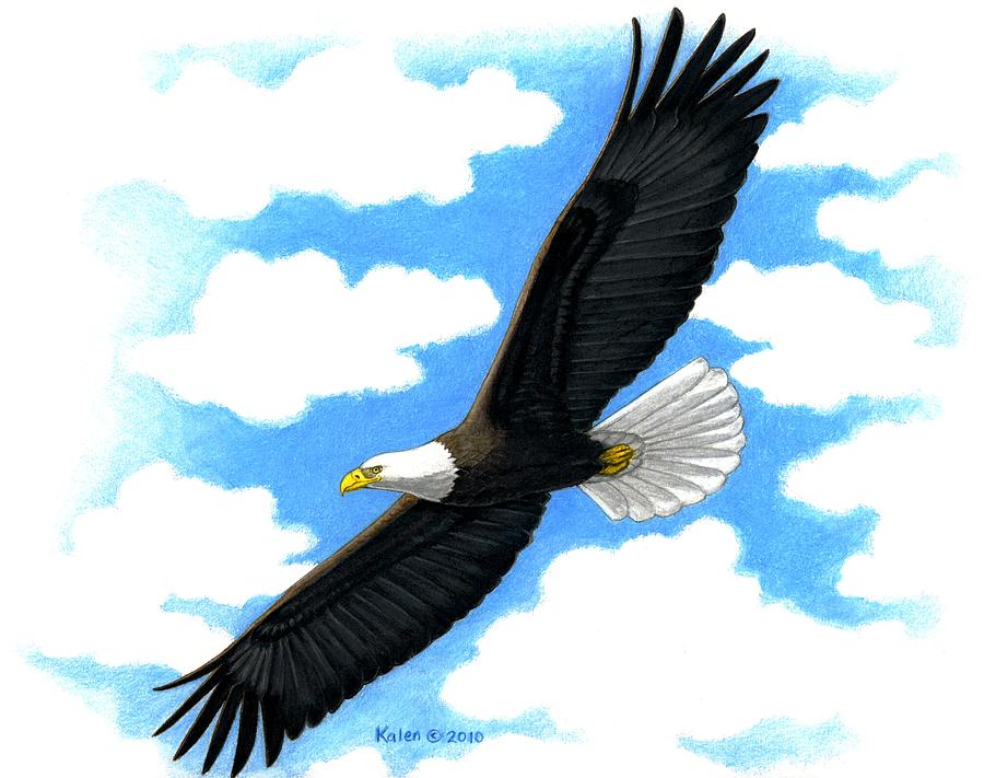 happy cartoon eagle flying