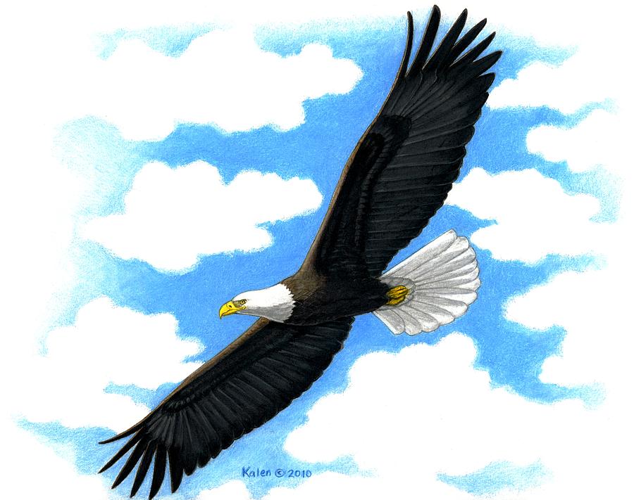 cartoon eagle flying