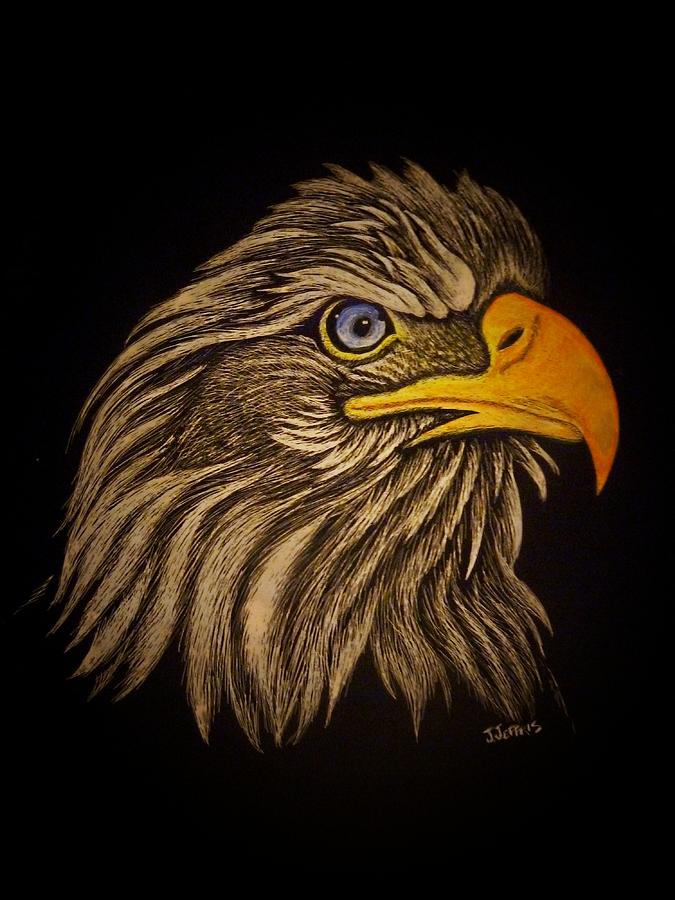 Bald Eagle Drawing - Bald Eagle by Jennifer Jeffris