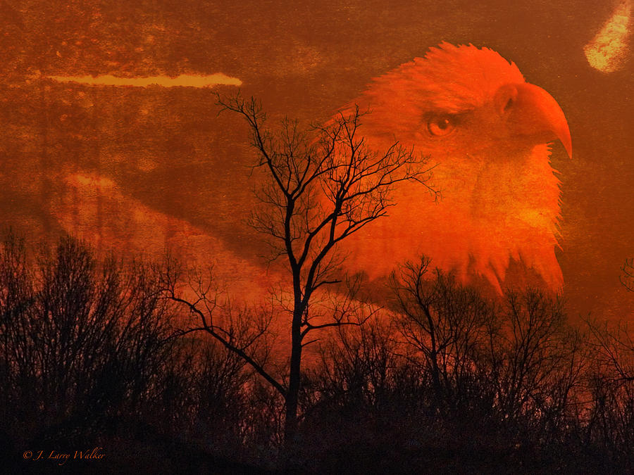 Bald Eagle Of The Cosmos Digital Art by J Larry Walker