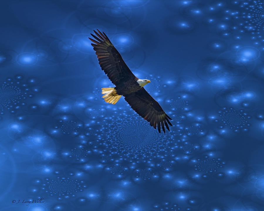 Bald Eagle Soaring Through Space Digital Art by J Larry Walker