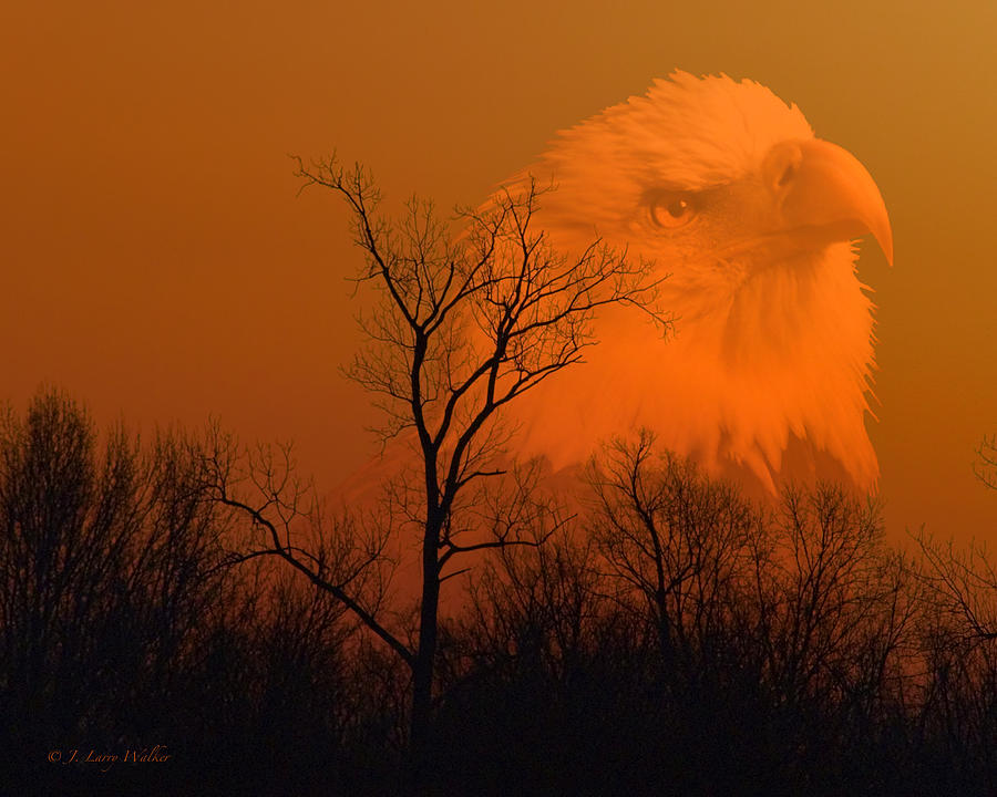 Bald Eagle Spirit Of Reelfoot Lake Digital Art by J Larry Walker