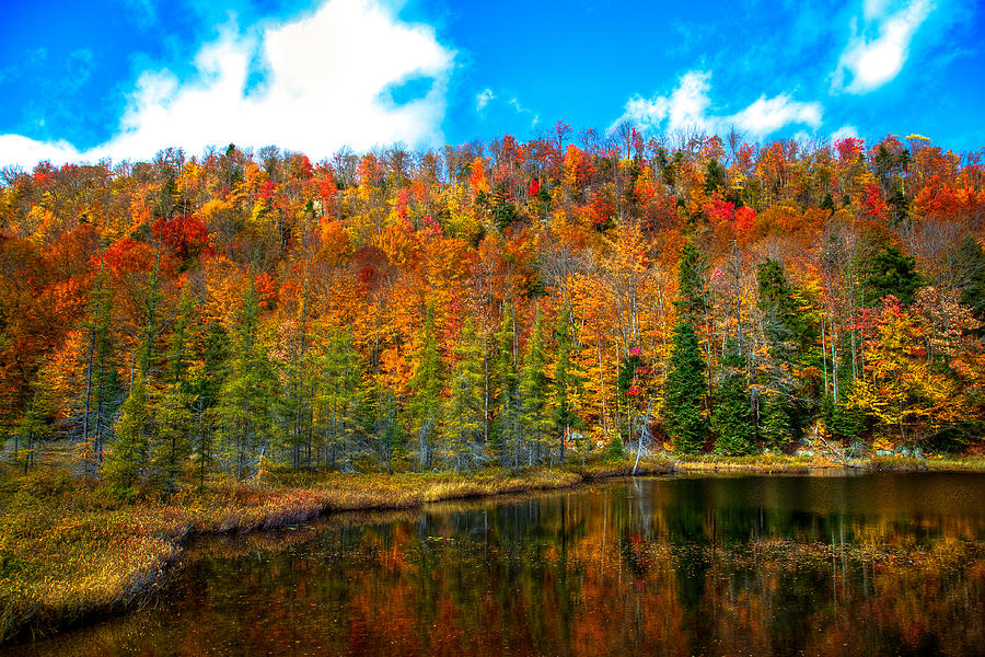 Fall Photograph - Bald Mountain Pond IV by David Patterson