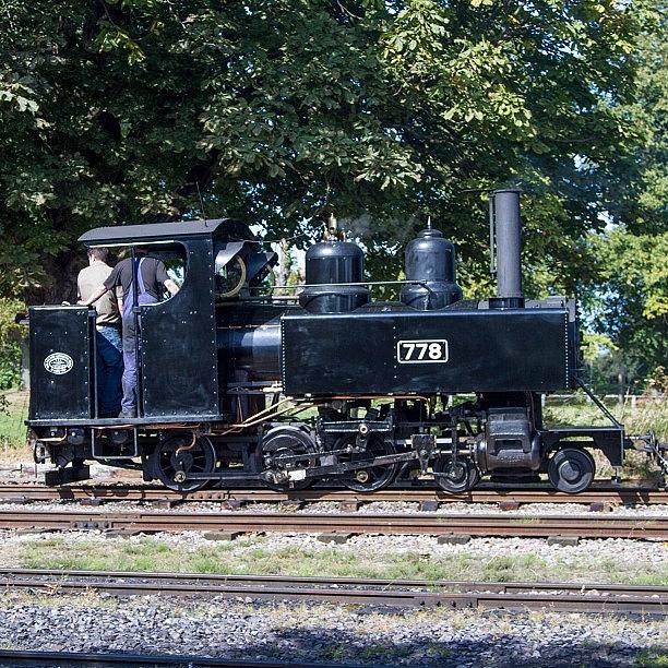 Buzzard Photograph - Baldwin Wd Loco No 778 At Pages Park by Dave Lee