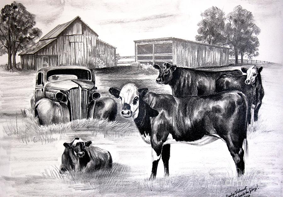 Cow Drawing - Baldy Memories by Carolyn Valcourt