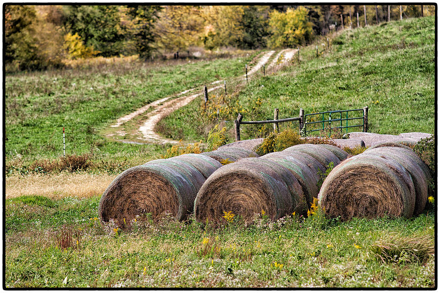 Bales Photograph by Jason Wolters