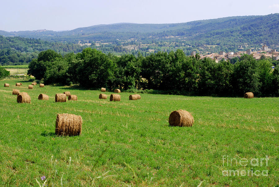 Bales of Hay Photograph by Andrea Simon