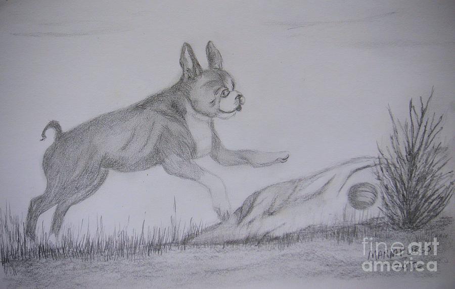 Ball Chase Drawing by Maria Urso
