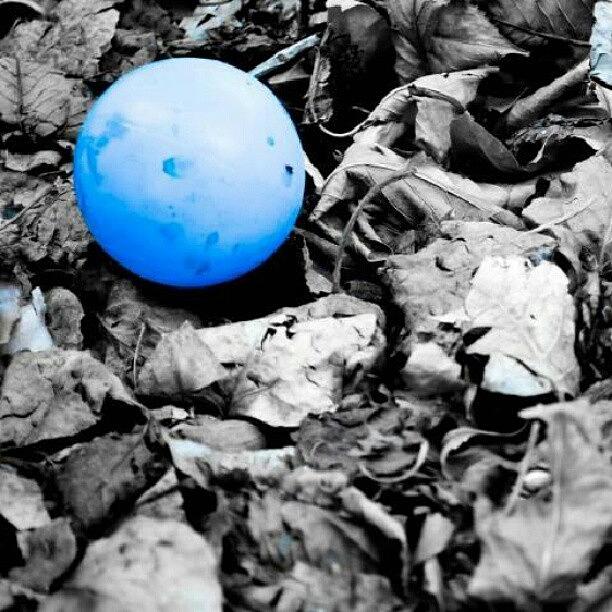 Ball Photograph - Ball In My Backyard. #ball #blue by Becca Watters