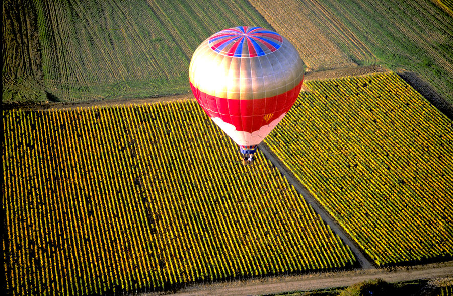 Ballooning Over Burgundy Photograph