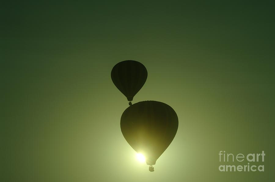 Balloons In The Sun Photograph