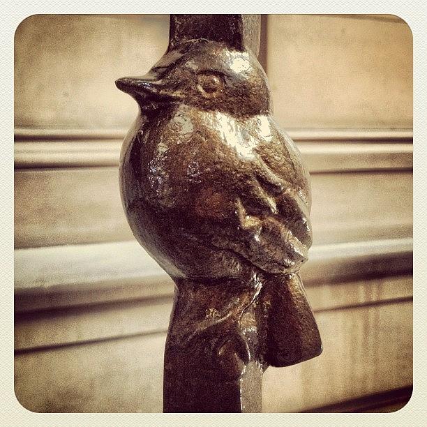 Sparrow Photograph - Balustrade Birdie! #balustrade #bird by Robert Campbell
