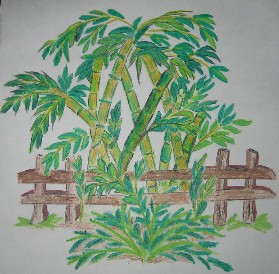 Featured image of post Bamboo Tree Drawing Images Follow this step by step tutorial to learn how to draw a bamboo plant