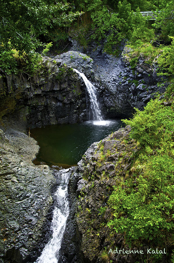 Bamboo Forest Falls Photograph by Adrienne Kalal