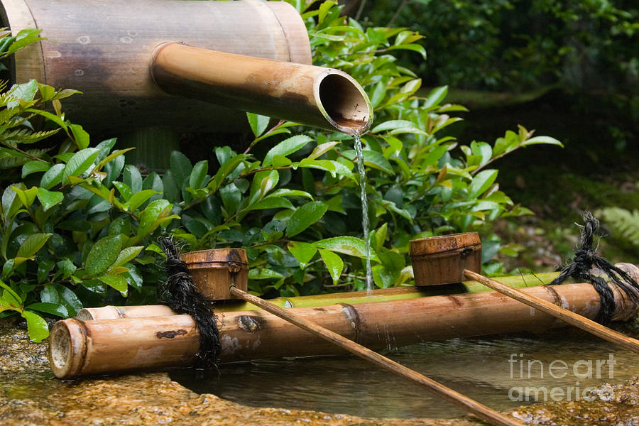 Fountain Photograph - Bamboo Fountain by Ei Katsumata