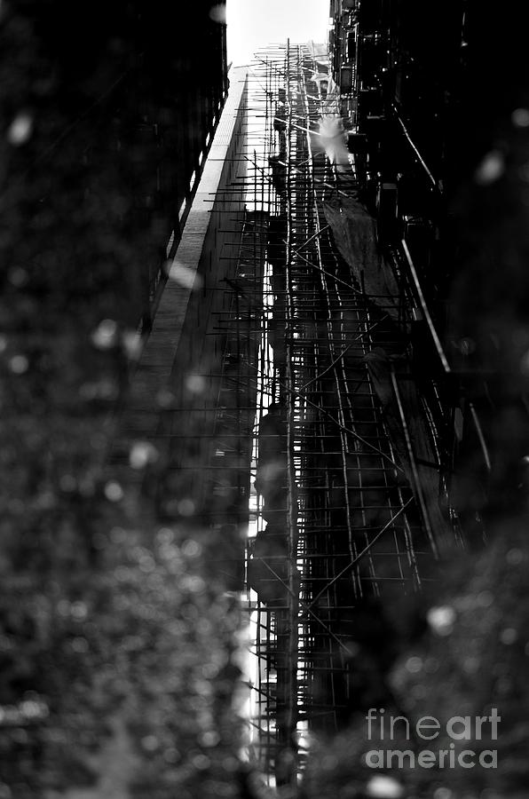 Hong Kong Photograph - Bamboo Reflections by Dean Harte