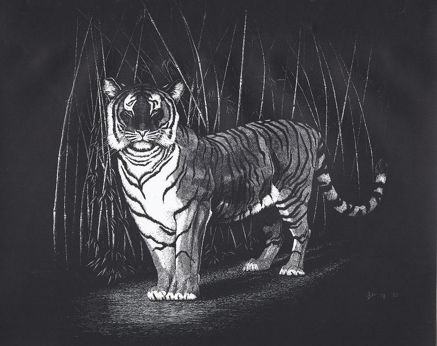 Jungle Drawing - Bamboo Tiger by Bill Gehring