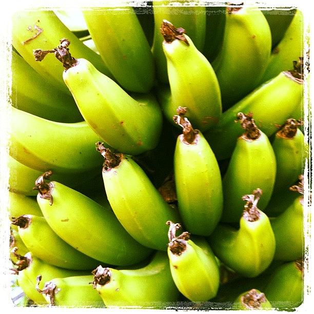 Fruit Photograph - #banana #fruit #iphonephoto by Avatar Pics