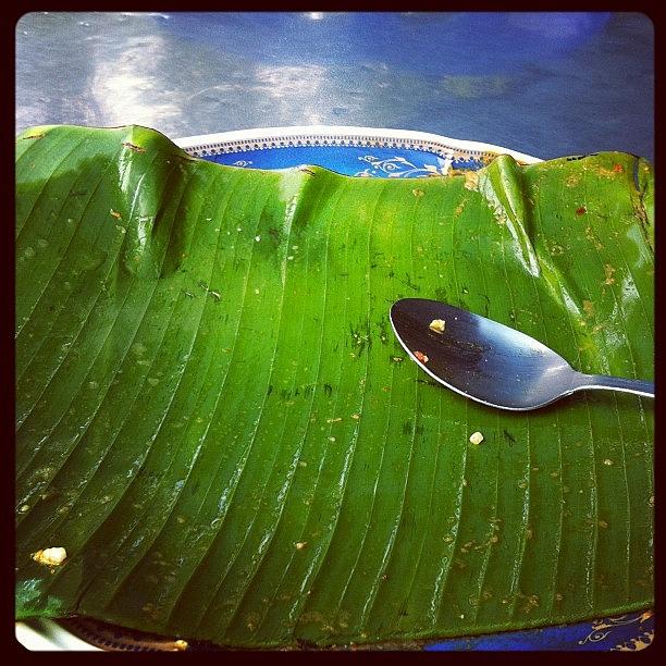 Banana Leaf - Licin Photograph by Fazwan Nordin