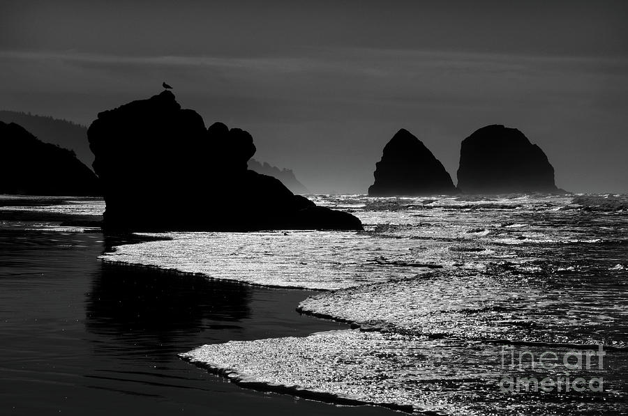 Bandon By the Sea Photograph by Vivian Christopher