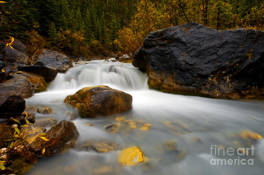 Banff - Autumn Creek Photograph by Terry Elniski