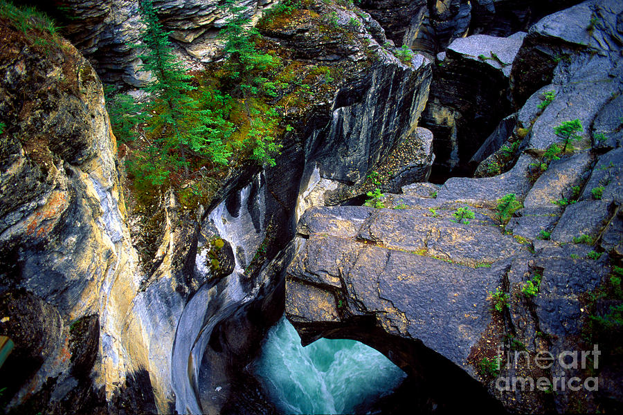 Banff - Mistaya Canyon Photograph by Terry Elniski