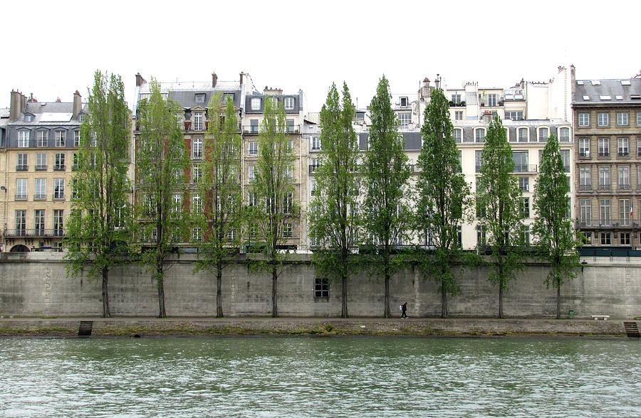 Tree Photograph - Bank of the Seine by Keith Stokes