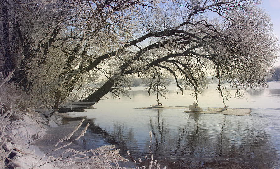 Winter Pyrography - Banks of the river by Vladimiras Nikonovas