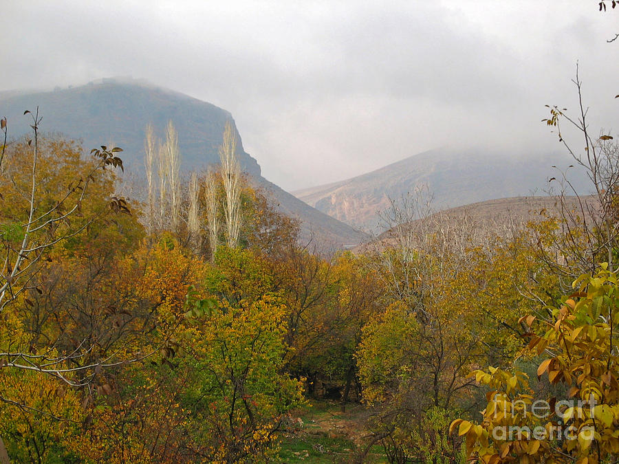 Fall Photograph - Barada valley in fall by Issam Hajjar