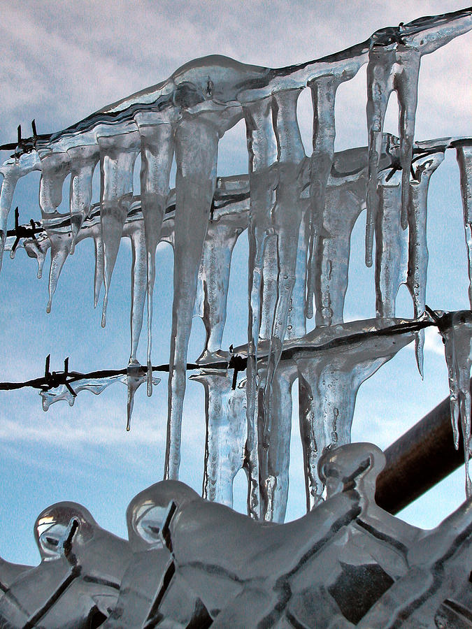 Barbed Ice Photograph by Cathy Kovarik